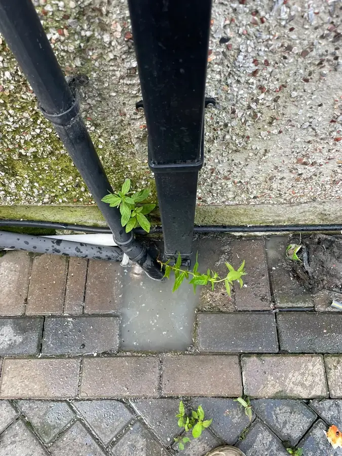Water pooling at the base of the downpipe by the blocked gully on Casterton Avenue, Burnley
