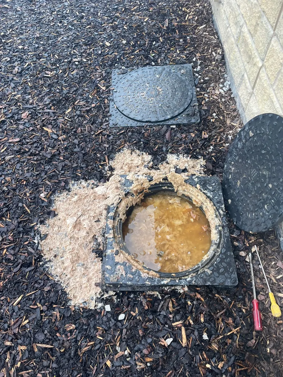 Blocked outside drain before clearing